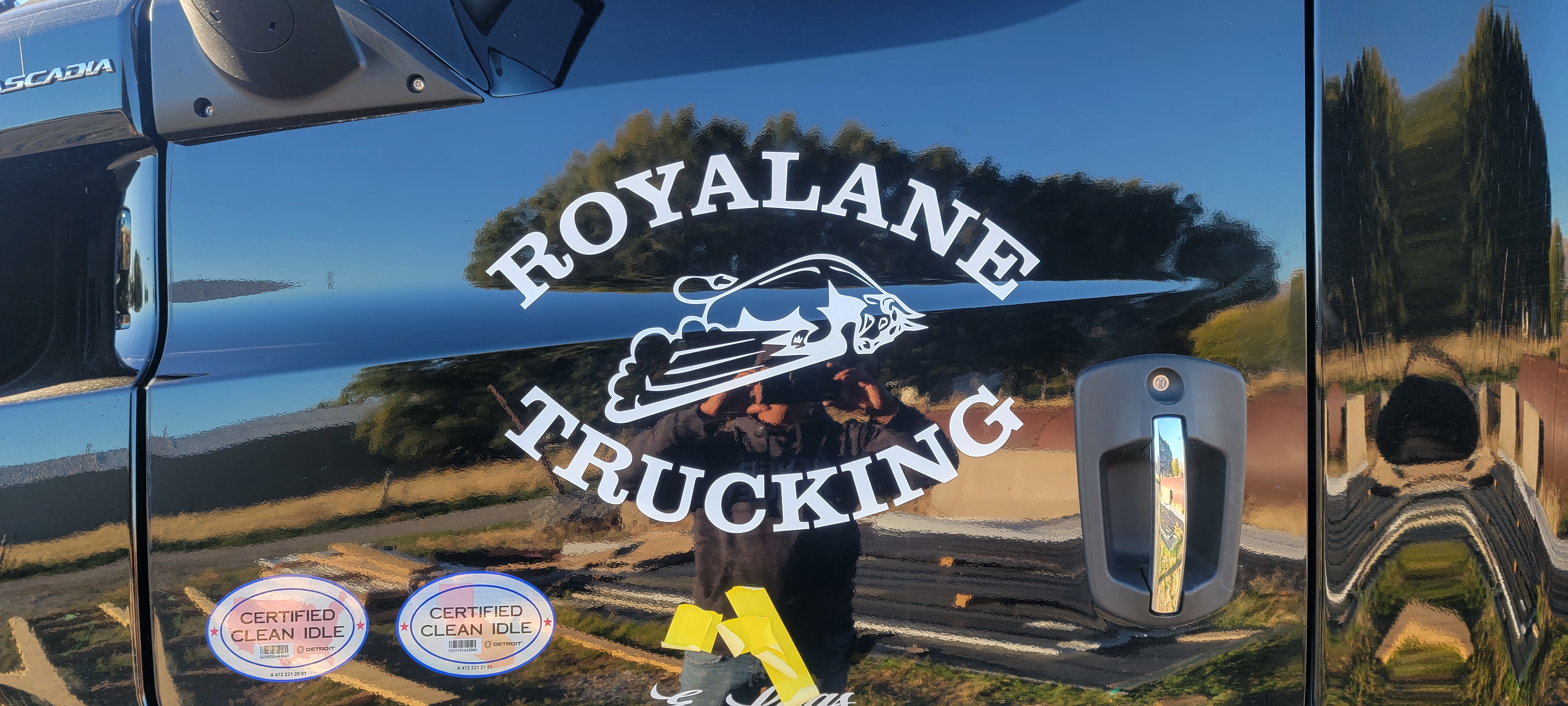 Vinyl installation