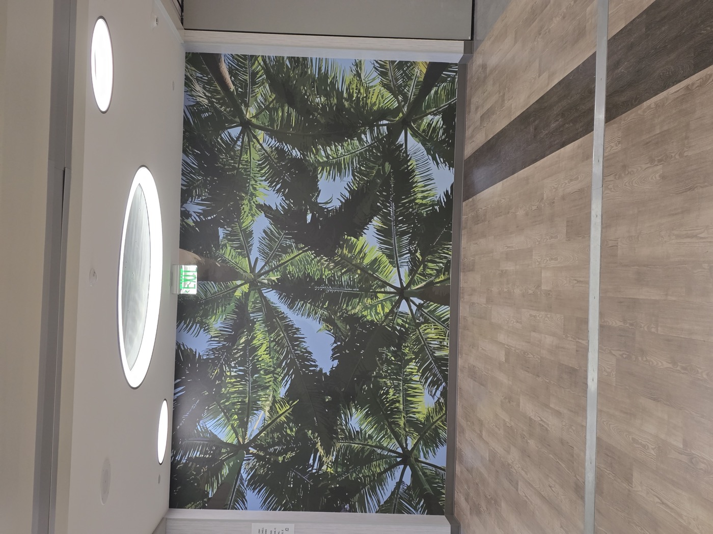 Tropical palm tree mural wallpaper