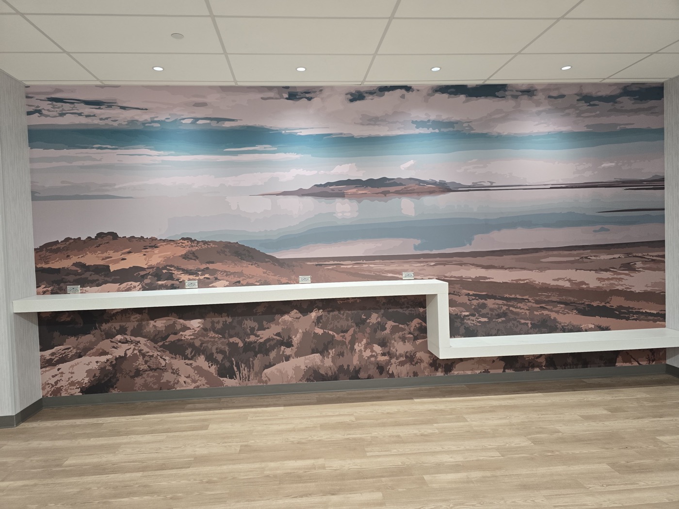 Large landscape mural commercial installation